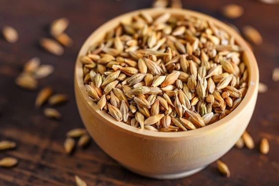 Malt